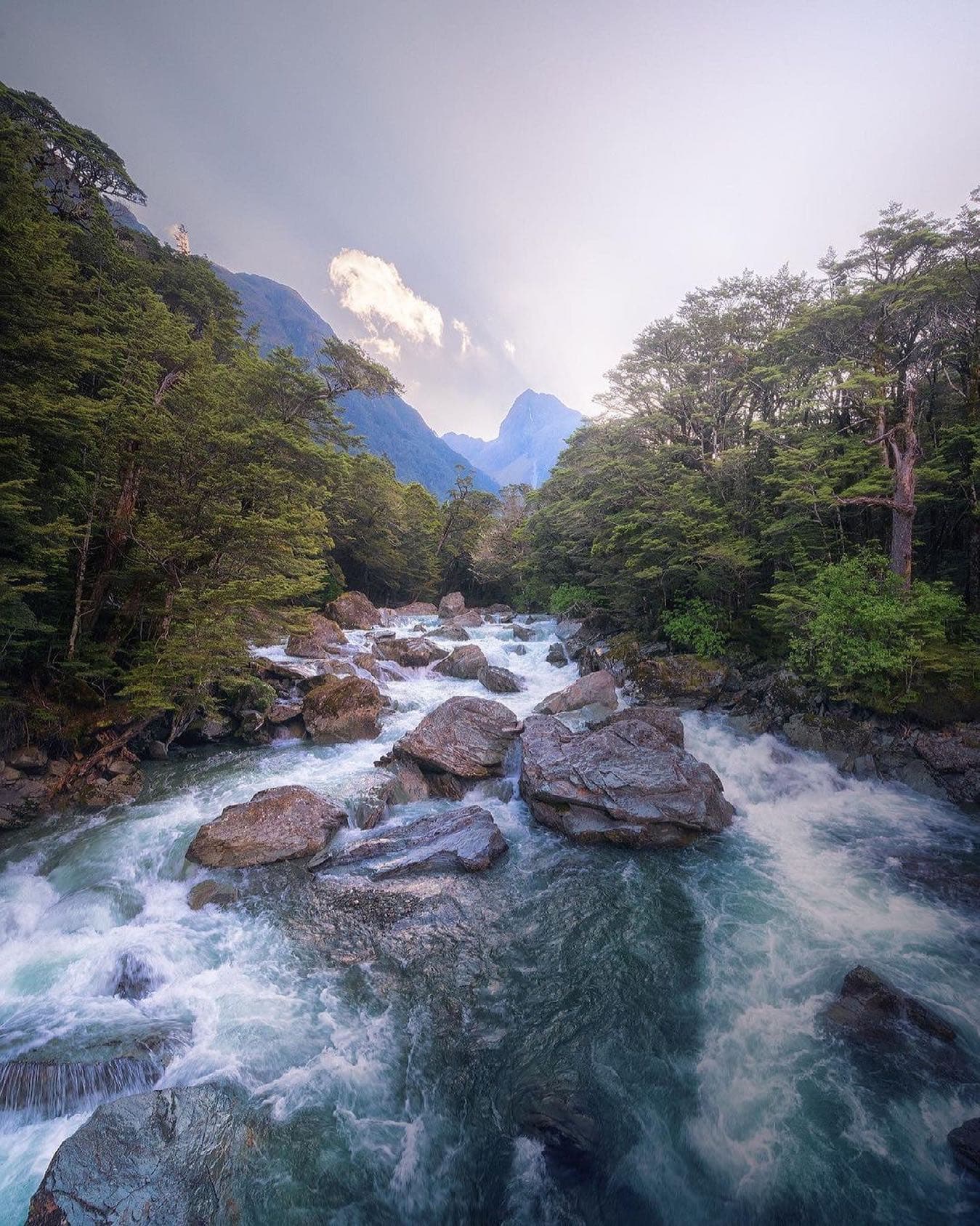 Abel Tasman Coast Track